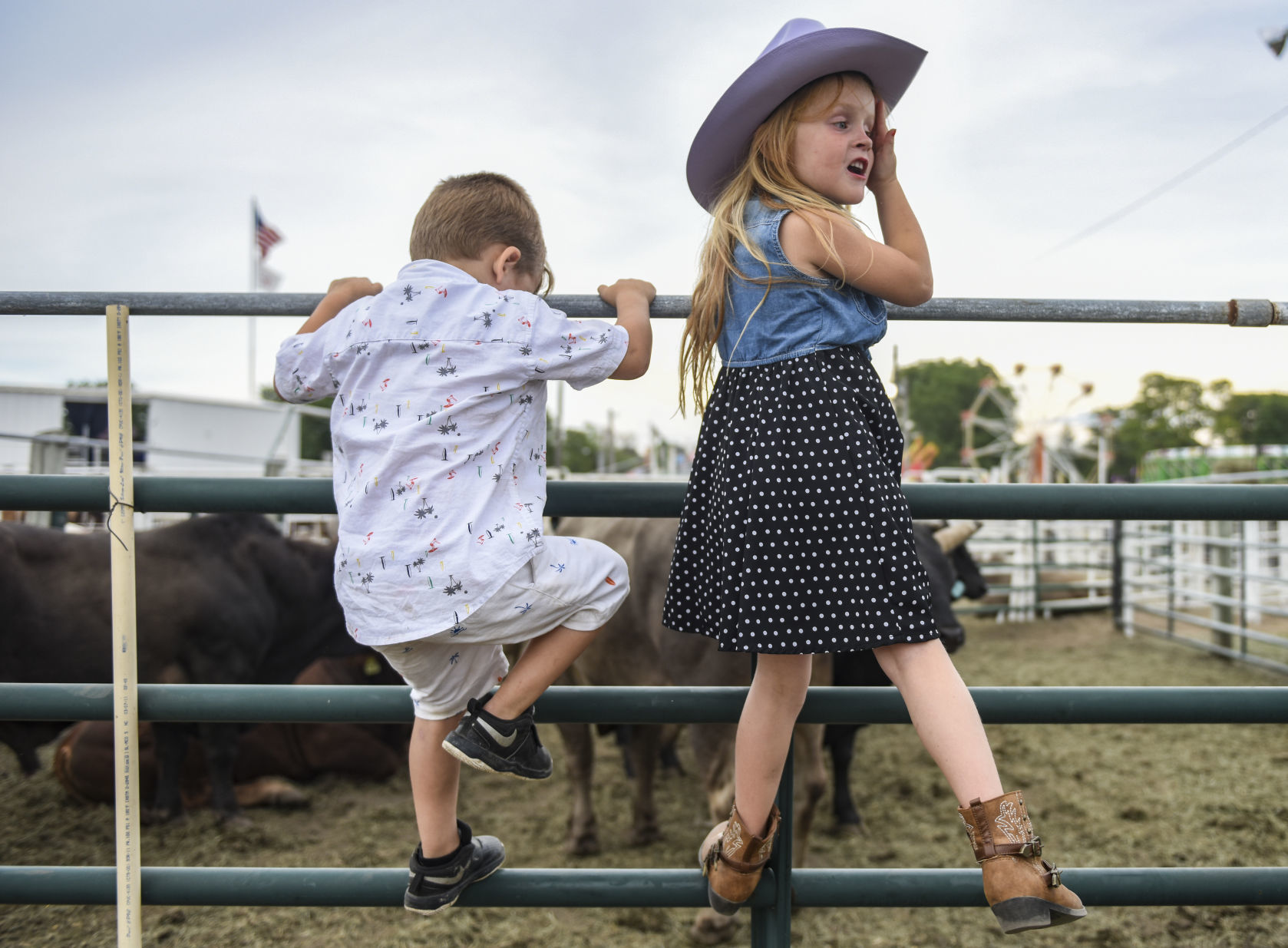 081619-mda-nws-rodeo-14.jpg